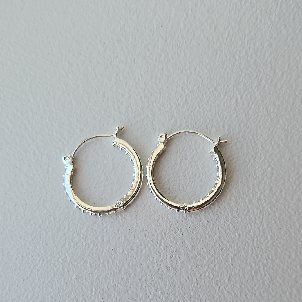 Elegant Silver Hoop Earrings